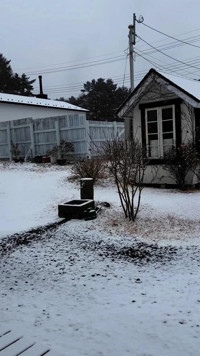 .
【雪景色】

予報通り雪でした❄️
暖冬の冬は大雪になると噂があり、ドキドキします💓

______________________________

LUXURY HOLIDAY
WITH DOGS

-愛犬と過ごす贅沢な休日-

🐕🐕🐕

アルマガーデンドッグスは
八ヶ岳にひっそりと佇む

コテージとログハウスの全2棟で、それぞれ1日1組限定

代官山、渋谷のレストランで修業したオーナーシェフがフレンチのコースをご提供
わんちゃんもご一緒に

-日常を忘れて愛犬との贅沢な時間をお過ごしください-

🐕🍽️🏡 @arumagardendogs

＝＝＝＝＝＝＝＝＝＝＝＝＝＝＝＝

【ご予約はこちらから✍️】

💻▽オフィシャルサイト予約フォーム
プロフィールにリンクしているホームページからどうぞ🏷️

【お問い合わせなどはお気軽に🐕】

📞0551-45-7679

＝＝＝＝＝＝＝＝＝＝＝＝＝＝＝＝

ARUMA GARDEN DOGS
-アルマガーデンドッグス-

【住所】
📍山梨県北杜市大泉町西井出8240-6520

【電話番号】
📞0551-45-7679

______________________________

#アルマガーデンドッグス #ペットと泊まれる宿 #愛犬と泊まれる宿 
#ワンコとお出かけ #わんことお出かけ 
#天然芝 #専用ドッグラン #ドッグラン完備 #プライベートドッグラン
#1日1組 #プライベートコテージ  #ラグジュアリーホテル #ログハウス #コテージ #ホテル 
#アフタヌーンティー #北杜市ランチ #オーベルジュ
#フランス料理 #八ヶ岳フレンチレストラン #オーベルジュ #北杜市フレンチ
#ガーデン #バラ好きな人と繋がりたい
#八ヶ岳 #北杜市 #山梨県