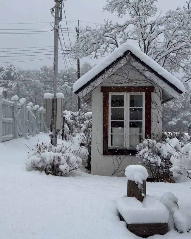 .
【3月の雪】

昨晩から断続的に降り続く雪は
今年最大の積雪です。

______________________________

LUXURY HOLIDAY
WITH DOGS

-愛犬と過ごす贅沢な休日-

🐕🐕🐕

アルマガーデンドッグスは
八ヶ岳にひっそりと佇む

コテージとログハウスの全2棟で、それぞれ1日1組限定

代官山、渋谷のレストランで修業したオーナーシェフがフレンチのコースをご提供
わんちゃんもご一緒に

-日常を忘れて愛犬との贅沢な時間をお過ごしください-

🐕🍽️🏡 @arumagardendogs

＝＝＝＝＝＝＝＝＝＝＝＝＝＝＝＝

【ご予約はこちらから✍️】

💻▽オフィシャルサイト予約フォーム
プロフィールにリンクしているホームページからどうぞ🏷️

【お問い合わせなどはお気軽に🐕】

📞0551-45-7679

＝＝＝＝＝＝＝＝＝＝＝＝＝＝＝＝

ARUMA GARDEN DOGS
-アルマガーデンドッグス-

【住所】
📍山梨県北杜市大泉町西井出8240-6520

【電話番号】
📞0551-45-7679

______________________________

#アルマガーデンドッグス #ペットと泊まれる宿 #愛犬と泊まれる宿 
#ワンコとお出かけ #わんことお出かけ 
#天然芝 #専用ドッグラン #ドッグラン完備 #プライベートドッグラン
#1日1組 #プライベートコテージ  #ラグジュアリーホテル #ログハウス #コテージ #ホテル 
#アフタヌーンティー #北杜市ランチ #オーベルジュ
#フランス料理 #八ヶ岳フレンチレストラン #オーベルジュ #北杜市フレンチ
#ガーデン #バラ好きな人と繋がりたい
#八ヶ岳 #北杜市 #山梨県