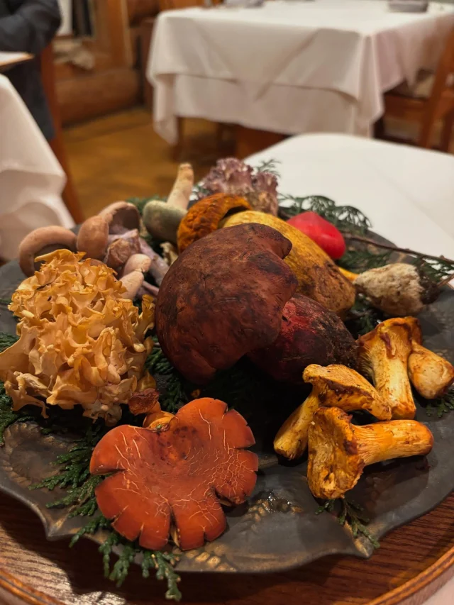 .
【秋のきのこ🍄コース】

自ら採取したきのこを使ったお料理✨
きのこ好きにはたまりません！
ご馳走様でした😋

@restaurant_ashihana 

______________________________

LUXURY HOLIDAY
WITH DOGS

-愛犬と過ごす贅沢な休日-

🐕🐕🐕

アルマガーデンドッグスは
八ヶ岳にひっそりと佇む

コテージとログハウスの全2棟で、それぞれ1日1組限定

代官山、渋谷のレストランで修業したオーナーシェフがフレンチのコースをご提供
わんちゃんもご一緒に

-日常を忘れて愛犬との贅沢な時間をお過ごしください-

🐕🍽️🏡 @arumagardendogs

＝＝＝＝＝＝＝＝＝＝＝＝＝＝＝＝

【ご予約はこちらから✍️】

💻▽オフィシャルサイト予約フォーム
プロフィールにリンクしているホームページからどうぞ🏷️

【お問い合わせなどはお気軽に🐕】

📞0551-45-7679

＝＝＝＝＝＝＝＝＝＝＝＝＝＝＝＝

ARUMA GARDEN DOGS
-アルマガーデンドッグス-

【住所】
📍山梨県北杜市大泉町西井出8240-6520

【電話番号】
📞0551-45-7679

______________________________

#アルマガーデンドッグス #ペットと泊まれる宿 #愛犬と泊まれる宿 
#ワンコとお出かけ #わんことお出かけ 
#天然芝 #専用ドッグラン #ドッグラン完備 #プライベートドッグラン
#1日1組 #プライベートコテージ  #ラグジュアリーホテル #ログハウス #コテージ #ホテル 
#アフタヌーンティー #北杜市ランチ #オーベルジュ
#フランス料理 #八ヶ岳フレンチレストラン #オーベルジュ #北杜市フレンチ
#ガーデン #バラ好きな人と繋がりたい
#八ヶ岳 #北杜市 #山梨県