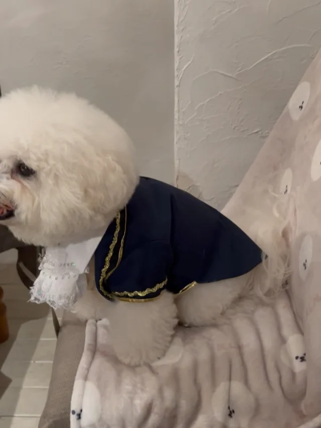 .
【ご宿泊わんちゃんのご紹介】

可愛いお友達のご紹介🐶
ありがとうございました♪
______________________________

📷🐶🐶🐶📷

ご宿泊中に撮影された愛犬のお写真/動画を随時募集！
ご共有をいただいたお写真は当アカウントでご紹介

DMなどでお気軽にご連絡ください✉️

📷🐶🐶🐶📷

アルマガーデンドッグスは八ヶ岳に佇む、
わんちゃんと過ごせるオーベルジュ

-日常を忘れて愛犬との贅沢な時間をお過ごしください-

🐕🍽️🏡 @arumagardendogs

＝＝＝＝＝＝＝＝＝＝＝＝＝＝＝＝

【ご予約はこちらから✍️】

💻▽オフィシャルサイト予約フォーム
プロフィールにリンクしているホームページからどうぞ🏷️

【お問い合わせなどはお気軽に🐕】

📞0551-45-7679

＝＝＝＝＝＝＝＝＝＝＝＝＝＝＝＝

ARUMA GARDEN DOGS
-アルマガーデンドッグス-

【住所】
📍山梨県北杜市大泉町西井出8240-6520

【電話番号】
📞0551-45-7679

______________________________

#アルマガーデンドッグス #ペットと泊まれる宿 #愛犬と泊まれる宿 
#ワンコとお出かけ #わんことお出かけ 
#天然芝 #専用ドッグラン #ドッグラン完備 #プライベートドッグラン
#1日1組 #プライベートコテージ  #ラグジュアリーホテル #ログハウス #コテージ #ホテル 
#アフタヌーンティー #北杜市ランチ #オーベルジュ
#フランス料理 #八ヶ岳フレンチレストラン #オーベルジュ #北杜市フレンチ
#ガーデン #バラ好きな人と繋がりたい
#八ヶ岳 #北杜市 #山梨県