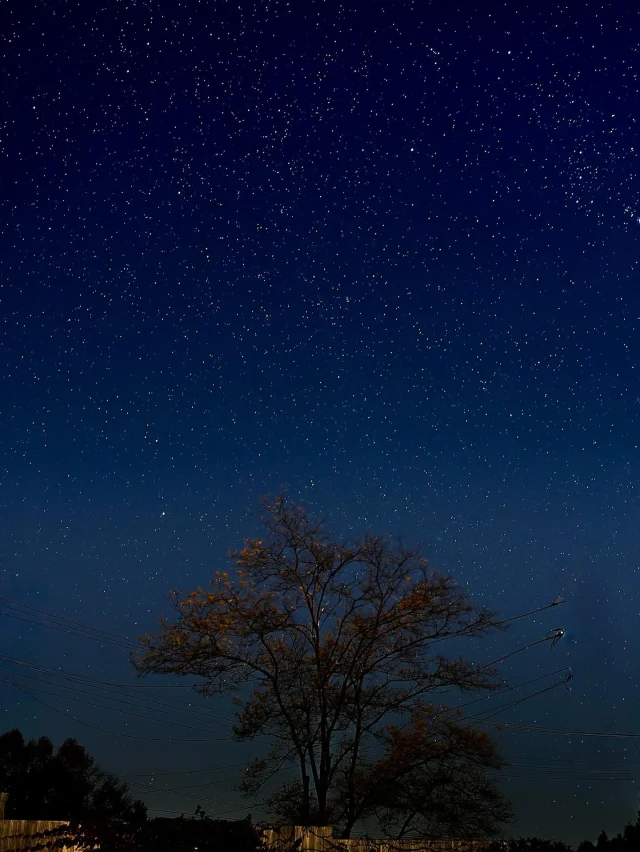 .
【星空】

11月3日の星空です✨
お客様からいただきました。
多くの星が散りばめられています🌌
八ヶ岳で星空観察はいかがでしょう。
______________________________

LUXURY HOLIDAY
WITH DOGS

-愛犬と過ごす贅沢な休日-

🐕🐕🐕

アルマガーデンドッグスは
八ヶ岳にひっそりと佇む

コテージとログハウスの全2棟で、それぞれ1日1組限定

代官山、渋谷のレストランで修業したオーナーシェフがフレンチのコースをご提供
わんちゃんもご一緒に

-日常を忘れて愛犬との贅沢な時間をお過ごしください-

🐕🍽️🏡 @arumagardendogs

＝＝＝＝＝＝＝＝＝＝＝＝＝＝＝＝

【ご予約はこちらから✍️】

💻▽オフィシャルサイト予約フォーム
プロフィールにリンクしているホームページからどうぞ🏷️

【お問い合わせなどはお気軽に🐕】

📞0551-45-7679

＝＝＝＝＝＝＝＝＝＝＝＝＝＝＝＝

ARUMA GARDEN DOGS
-アルマガーデンドッグス-

【住所】
📍山梨県北杜市大泉町西井出8240-6520

【電話番号】
📞0551-45-7679

______________________________

#アルマガーデンドッグス #ペットと泊まれる宿 #愛犬と泊まれる宿 
#ワンコとお出かけ #わんことお出かけ 
#天然芝 #専用ドッグラン #ドッグラン完備 #プライベートドッグラン
#1日1組 #プライベートコテージ  #ラグジュアリーホテル #ログハウス #コテージ #ホテル 
#アフタヌーンティー #北杜市ランチ #オーベルジュ
#フランス料理 #八ヶ岳フレンチレストラン #オーベルジュ #北杜市フレンチ
#ガーデン #バラ好きな人と繋がりたい
#八ヶ岳 #北杜市 #山梨県