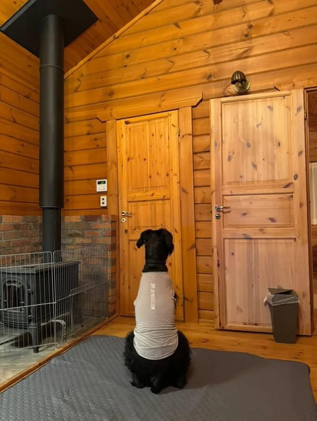 .
【ご宿泊わんちゃんのご紹介】

可愛いお友達のご紹介🐶
ありがとうございました♪
______________________________

📷🐶🐶🐶📷

ご宿泊中に撮影された愛犬のお写真/動画を随時募集！
ご共有をいただいたお写真は当アカウントでご紹介

DMなどでお気軽にご連絡ください✉️

📷🐶🐶🐶📷

アルマガーデンドッグスは八ヶ岳に佇む、
わんちゃんと過ごせるオーベルジュ

-日常を忘れて愛犬との贅沢な時間をお過ごしください-

🐕🍽️🏡 @arumagardendogs

＝＝＝＝＝＝＝＝＝＝＝＝＝＝＝＝

【ご予約はこちらから✍️】

💻▽オフィシャルサイト予約フォーム
プロフィールにリンクしているホームページからどうぞ🏷️

【お問い合わせなどはお気軽に🐕】

📞0551-45-7679

＝＝＝＝＝＝＝＝＝＝＝＝＝＝＝＝

ARUMA GARDEN DOGS
-アルマガーデンドッグス-

【住所】
📍山梨県北杜市大泉町西井出8240-6520

【電話番号】
📞0551-45-7679

______________________________

#アルマガーデンドッグス #ペットと泊まれる宿 #愛犬と泊まれる宿 
#ワンコとお出かけ #わんことお出かけ 
#天然芝 #専用ドッグラン #ドッグラン完備 #プライベートドッグラン
#1日1組 #プライベートコテージ  #ラグジュアリーホテル #ログハウス #コテージ #ホテル 
#アフタヌーンティー #北杜市ランチ #オーベルジュ
#フランス料理 #八ヶ岳フレンチレストラン #オーベルジュ #北杜市フレンチ
#ガーデン #バラ好きな人と繋がりたい
#八ヶ岳 #北杜市 #山梨県