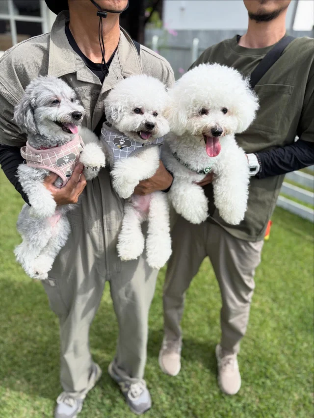 .
【ご宿泊わんちゃんのご紹介】

可愛いお友達のご紹介🐶
ありがとうございました♪
______________________________

📷🐶🐶🐶📷

ご宿泊中に撮影された愛犬のお写真/動画を随時募集！
ご共有をいただいたお写真は当アカウントでご紹介

DMなどでお気軽にご連絡ください✉️

📷🐶🐶🐶📷

アルマガーデンドッグスは八ヶ岳に佇む、
わんちゃんと過ごせるオーベルジュ

-日常を忘れて愛犬との贅沢な時間をお過ごしください-

🐕🍽️🏡 @arumagardendogs

＝＝＝＝＝＝＝＝＝＝＝＝＝＝＝＝

【ご予約はこちらから✍️】

💻▽オフィシャルサイト予約フォーム
プロフィールにリンクしているホームページからどうぞ🏷️

【お問い合わせなどはお気軽に🐕】

📞0551-45-7679

＝＝＝＝＝＝＝＝＝＝＝＝＝＝＝＝

ARUMA GARDEN DOGS
-アルマガーデンドッグス-

【住所】
📍山梨県北杜市大泉町西井出8240-6520

【電話番号】
📞0551-45-7679

______________________________

#アルマガーデンドッグス #ペットと泊まれる宿 #愛犬と泊まれる宿 
#ワンコとお出かけ #わんことお出かけ 
#天然芝 #専用ドッグラン #ドッグラン完備 #プライベートドッグラン
#1日1組 #プライベートコテージ  #ラグジュアリーホテル #ログハウス #コテージ #ホテル 
#アフタヌーンティー #北杜市ランチ #オーベルジュ
#フランス料理 #八ヶ岳フレンチレストラン #オーベルジュ #北杜市フレンチ
#ガーデン #バラ好きな人と繋がりたい
#八ヶ岳 #北杜市 #山梨県