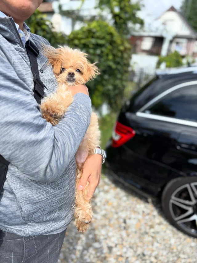 .
【ご宿泊わんちゃんのご紹介】

可愛いお友達のご紹介🐶
ありがとうございました♪
______________________________

📷🐶🐶🐶📷

ご宿泊中に撮影された愛犬のお写真/動画を随時募集！
ご共有をいただいたお写真は当アカウントでご紹介

DMなどでお気軽にご連絡ください✉️

📷🐶🐶🐶📷

アルマガーデンドッグスは八ヶ岳に佇む、
わんちゃんと過ごせるオーベルジュ

-日常を忘れて愛犬との贅沢な時間をお過ごしください-

🐕🍽️🏡 @arumagardendogs

＝＝＝＝＝＝＝＝＝＝＝＝＝＝＝＝

【ご予約はこちらから✍️】

💻▽オフィシャルサイト予約フォーム
プロフィールにリンクしているホームページからどうぞ🏷️

【お問い合わせなどはお気軽に🐕】

📞0551-45-7679

＝＝＝＝＝＝＝＝＝＝＝＝＝＝＝＝

ARUMA GARDEN DOGS
-アルマガーデンドッグス-

【住所】
📍山梨県北杜市大泉町西井出8240-6520

【電話番号】
📞0551-45-7679

______________________________

#アルマガーデンドッグス #ペットと泊まれる宿 #愛犬と泊まれる宿 
#ワンコとお出かけ #わんことお出かけ 
#天然芝 #専用ドッグラン #ドッグラン完備 #プライベートドッグラン
#1日1組 #プライベートコテージ  #ラグジュアリーホテル #ログハウス #コテージ #ホテル 
#アフタヌーンティー #北杜市ランチ #オーベルジュ
#フランス料理 #八ヶ岳フレンチレストラン #オーベルジュ #北杜市フレンチ
#ガーデン #バラ好きな人と繋がりたい
#八ヶ岳 #北杜市 #山梨県