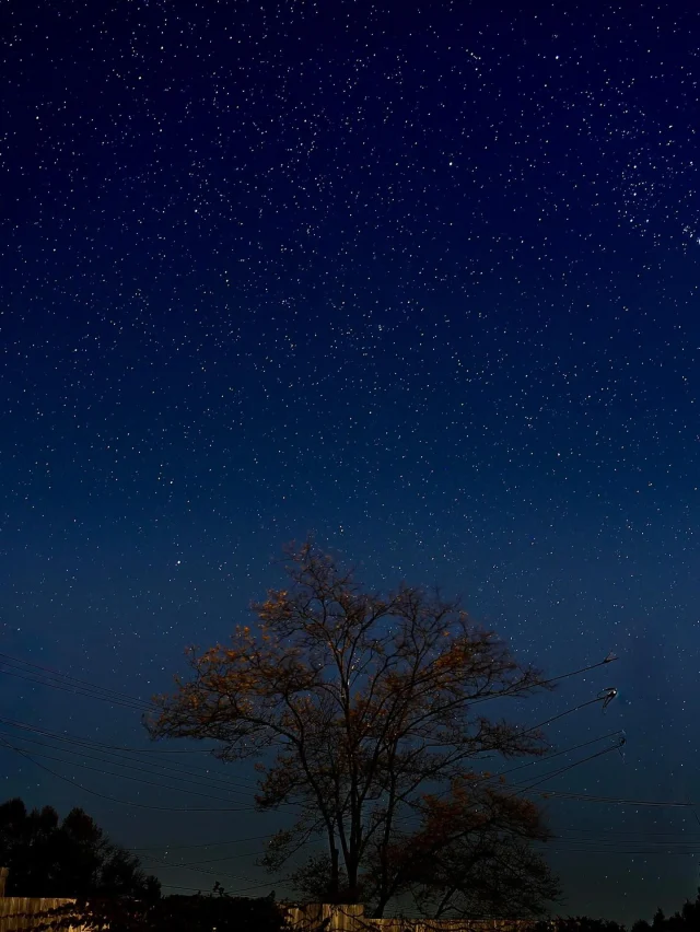 .
【星空とホットワイン】

一眼レフで撮影していますが、これからの季節はたくさんの星があらわれます✨
リクライニングチェアーとブランケットをご用意してお待ちしています♪
ホットワインもご用意致します✨

______________________________

LUXURY HOLIDAY
WITH DOGS

-愛犬と過ごす贅沢な休日-

🐕🐕🐕

アルマガーデンドッグスは
八ヶ岳にひっそりと佇む

コテージとログハウスの全2棟で、それぞれ1日1組限定

代官山、渋谷のレストランで修業したオーナーシェフがフレンチのコースをご提供
わんちゃんもご一緒に

-日常を忘れて愛犬との贅沢な時間をお過ごしください-

🐕🍽️🏡 @arumagardendogs

＝＝＝＝＝＝＝＝＝＝＝＝＝＝＝＝

【ご予約はこちらから✍️】

💻▽オフィシャルサイト予約フォーム
プロフィールにリンクしているホームページからどうぞ🏷️

【お問い合わせなどはお気軽に🐕】

📞0551-45-7679

＝＝＝＝＝＝＝＝＝＝＝＝＝＝＝＝

ARUMA GARDEN DOGS
-アルマガーデンドッグス-

【住所】
📍山梨県北杜市大泉町西井出8240-6520

【電話番号】
📞0551-45-7679

______________________________

#アルマガーデンドッグス #ペットと泊まれる宿 #愛犬と泊まれる宿 
#ワンコとお出かけ #わんことお出かけ 
#天然芝 #専用ドッグラン #ドッグラン完備 #プライベートドッグラン
#1日1組 #プライベートコテージ  #ラグジュアリーホテル #ログハウス #コテージ #ホテル 
#アフタヌーンティー #北杜市ランチ #オーベルジュ
#フランス料理 #八ヶ岳フレンチレストラン #オーベルジュ #北杜市フレンチ
#ガーデン #バラ好きな人と繋がりたい
#八ヶ岳 #北杜市 #山梨県