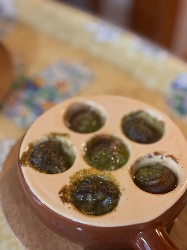 .
【エスカルゴとカスレ】

フランスでは定番の料理です♪
お楽しみいただきました✨嬉しいです！

______________________________

LUXURY HOLIDAY
WITH DOGS

-愛犬と過ごす贅沢な休日-

🐕🐕🐕

アルマガーデンドッグスは
八ヶ岳にひっそりと佇む

コテージとログハウスの全2棟で、それぞれ1日1組限定

代官山、渋谷のレストランで修業したオーナーシェフがフレンチのコースをご提供
わんちゃんもご一緒に

-日常を忘れて愛犬との贅沢な時間をお過ごしください-

🐕🍽️🏡 @arumagardendogs

＝＝＝＝＝＝＝＝＝＝＝＝＝＝＝＝

【ご予約はこちらから✍️】

💻▽オフィシャルサイト予約フォーム
プロフィールにリンクしているホームページからどうぞ🏷️

【お問い合わせなどはお気軽に🐕】

📞0551-45-7679

＝＝＝＝＝＝＝＝＝＝＝＝＝＝＝＝

ARUMA GARDEN DOGS
-アルマガーデンドッグス-

【住所】
📍山梨県北杜市大泉町西井出8240-6520

【電話番号】
📞0551-45-7679

______________________________

#アルマガーデンドッグス #ペットと泊まれる宿 #愛犬と泊まれる宿 
#ワンコとお出かけ #わんことお出かけ 
天然芝 専用ドッグラン ドッグラン完備 プライベートドッグラン
1日1組 プライベートコテージ  ラグジュアリーホテル ログハウス コテージ ホテル 
アフタヌーンティー 北杜市ランチ オーベルジュ
フランス料理 八ヶ岳フレンチレストラン オーベルジュ 北杜市フレンチ
ガーデン バラ好きな人と繋がりたい
八ヶ岳 北杜市 山梨県