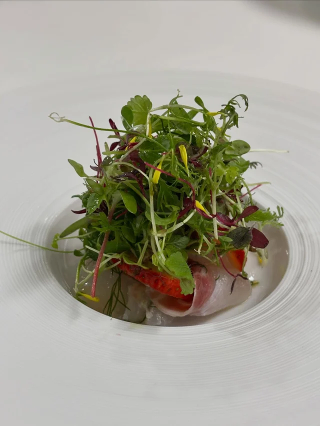 .
【マイクロベビーリーフ】

山梨県の生産者さんと繋がる機会をいただきました✨
レストラン専門店との事。大変ありがたいことに見学をさせて頂けることになりました♪

______________________________

LUXURY HOLIDAY
WITH DOGS

-愛犬と過ごす贅沢な休日-

🐕🐕🐕

アルマガーデンドッグスは
八ヶ岳にひっそりと佇む

コテージとログハウスの全2棟で、それぞれ1日1組限定

代官山、渋谷のレストランで修業したオーナーシェフがフレンチのコースをご提供
わんちゃんもご一緒に

-日常を忘れて愛犬との贅沢な時間をお過ごしください-

🐕🍽️🏡 @arumagardendogs

＝＝＝＝＝＝＝＝＝＝＝＝＝＝＝＝

【ご予約はこちらから✍️】

💻▽オフィシャルサイト予約フォーム
プロフィールにリンクしているホームページからどうぞ🏷️

【お問い合わせなどはお気軽に🐕】

📞0551-45-7679

＝＝＝＝＝＝＝＝＝＝＝＝＝＝＝＝

ARUMA GARDEN DOGS
-アルマガーデンドッグス-

【住所】
📍山梨県北杜市大泉町西井出8240-6520

【電話番号】
📞0551-45-7679

______________________________

#アルマガーデンドッグス #ペットと泊まれる宿 #愛犬と泊まれる宿 
#ワンコとお出かけ #わんことお出かけ 
天然芝 専用ドッグラン ドッグラン完備 プライベートドッグラン
1日1組 プライベートコテージ  ラグジュアリーホテル ログハウス コテージ ホテル 
アフタヌーンティー 北杜市ランチ オーベルジュ
フランス料理 八ヶ岳フレンチレストラン オーベルジュ 北杜市フレンチ
ガーデン バラ好きな人と繋がりたい
八ヶ岳 北杜市 山梨県